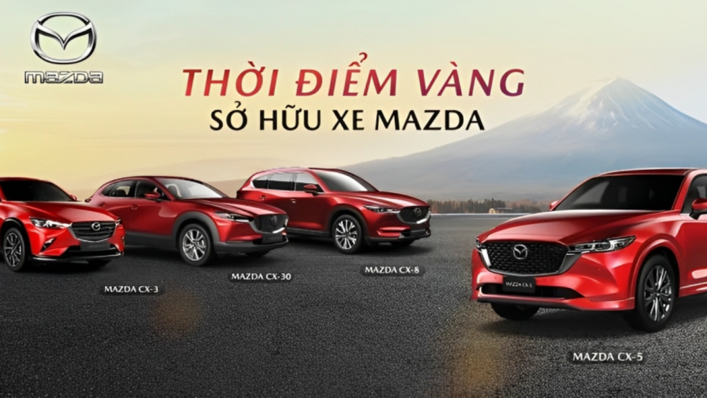 Viết phần mềm theo yêu cầu là gì?