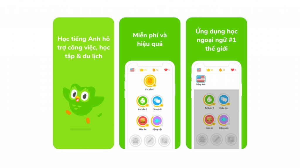 Thiết kế UI sáng tạo, hỗ trợ flashcard, video