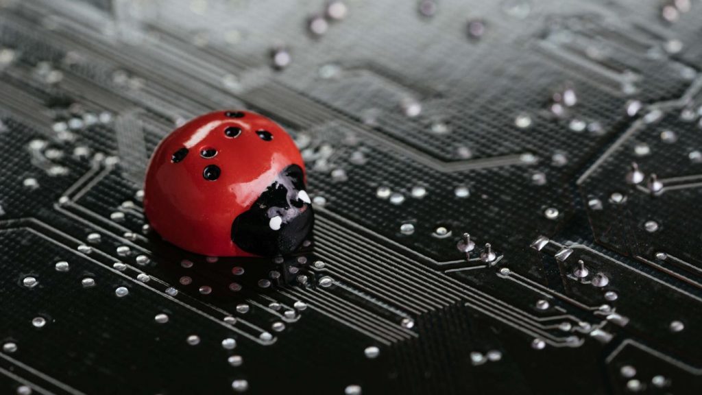 Quy tắc chương trình Bug Bounty