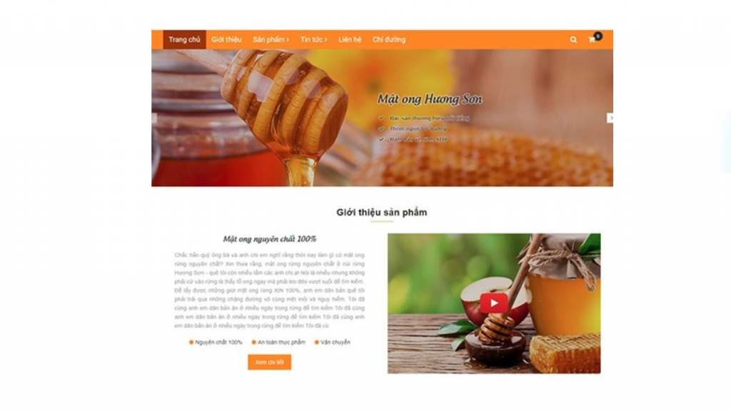 Giao diện phù hợp cho thương hiệu cần giới thiệu sản phẩm, ít bán hàng