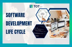 6 basic steps of software development process